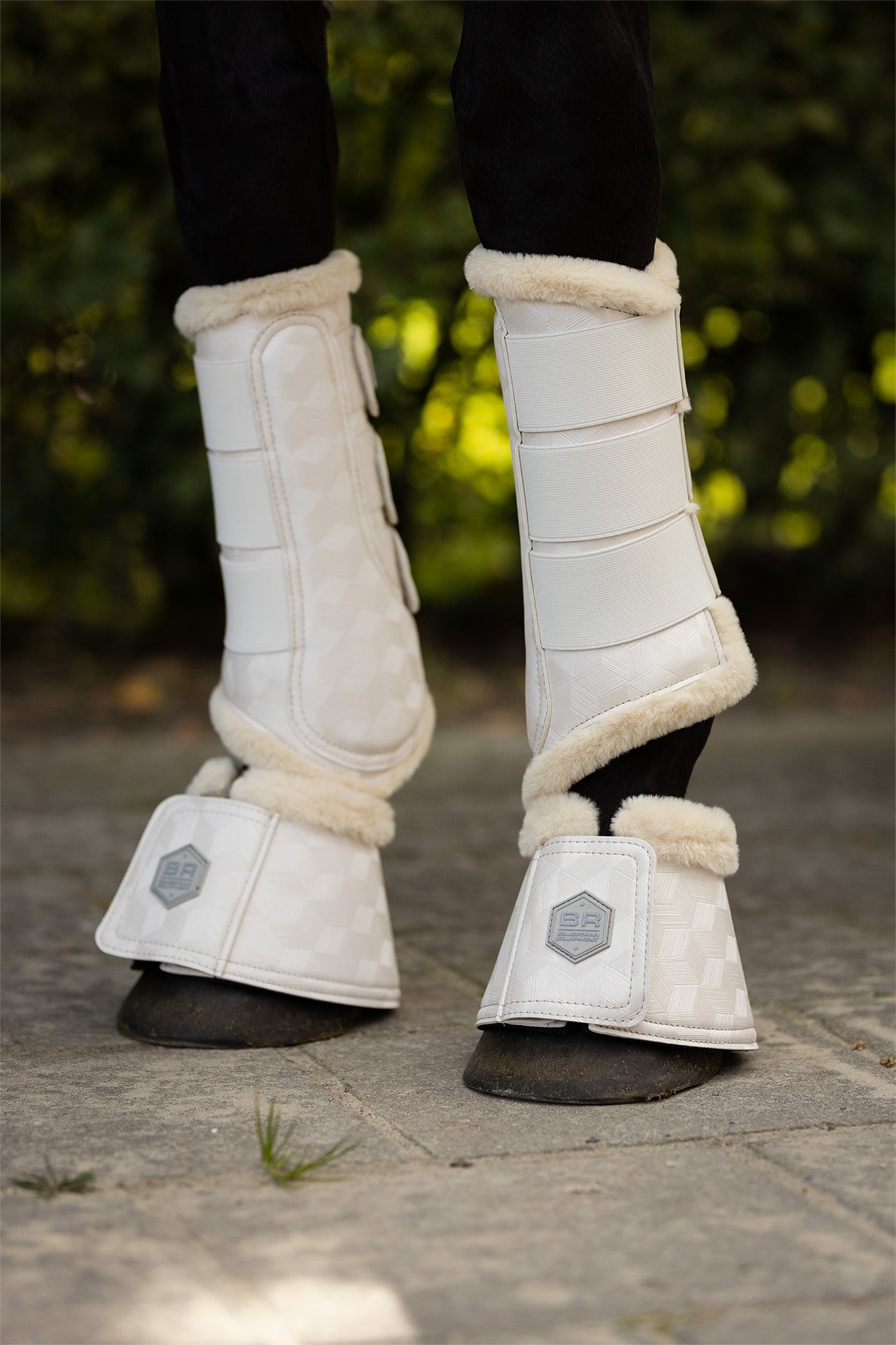 Horse Boots & Leg Wraps