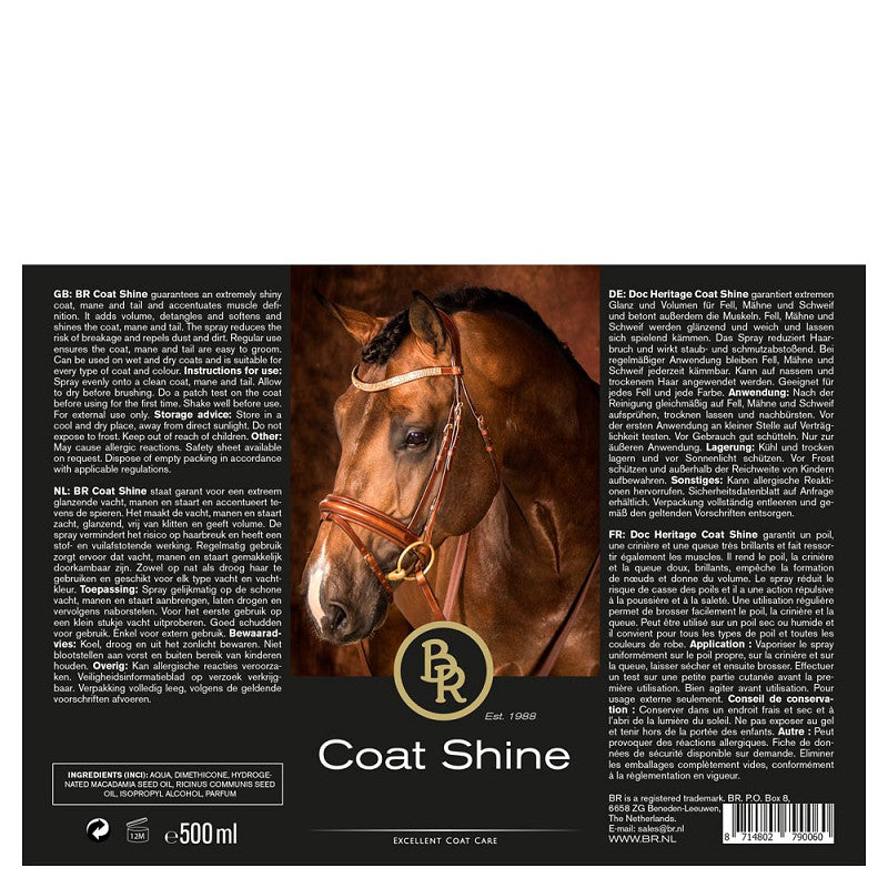BR Coat Shine 500 ml